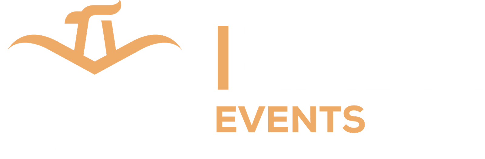 Hysteroscopy Workshop